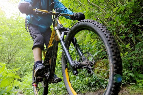 Mountain bikers on a difficult trail in the Palatinate Forest