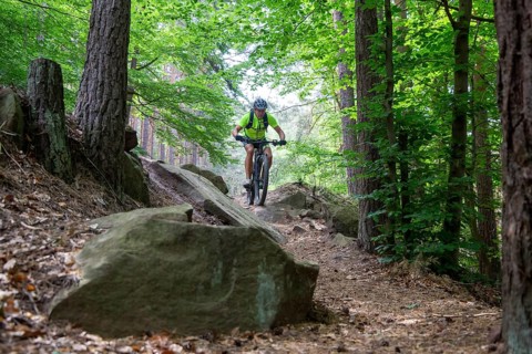 Mountain bikers on a descent in the Palatinate Forest near Weinbiet in the Palatinate Forest,