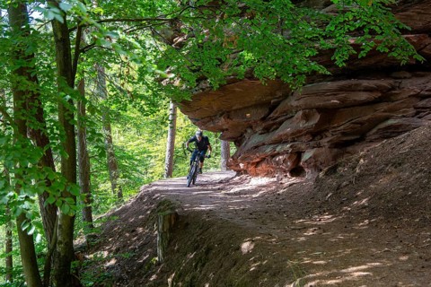 Mountain bikers on tour in the Dahner Felsenland . The many red sandstone rock formations