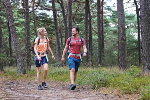 Symbolic image: Young couple hiking in the Palatinate Forest, here on the fifth stage of the