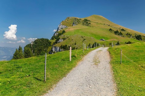 Hiking trail to Niederbauen Kulm (1923m), Lake Lucerne, Canton Uri, Switzerland, Lake Lucerne, Uri,
