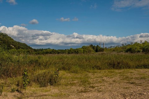 Rural landscape of lush foliage under blue sky with layer of cumulus clouds in background in South
