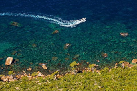 View from Cap Canaille to the green pines and the blue water of the bay, Provence, France, Europe