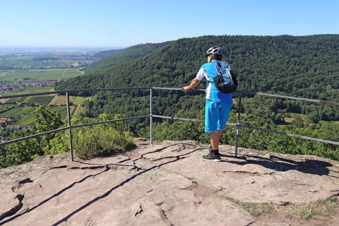 Mountain bikers on the viewing platform of the Neukastel castle ruins above Leinsweiler, Suedliche