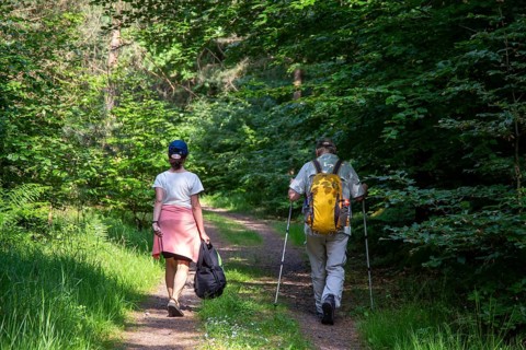 Couple hiking in the forest