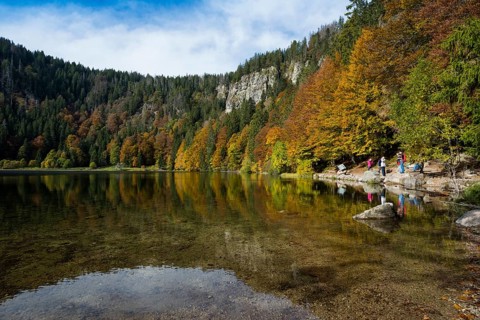 Lake and autumnal coloured forest, Feldsee, Feldberg, Black Forest, Baden-Wuerttemberg, Germany,