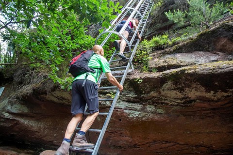 Hikers on the ladder to the Huehnerstein . The Huehnerstein is a sandstone rock in the Palatinate