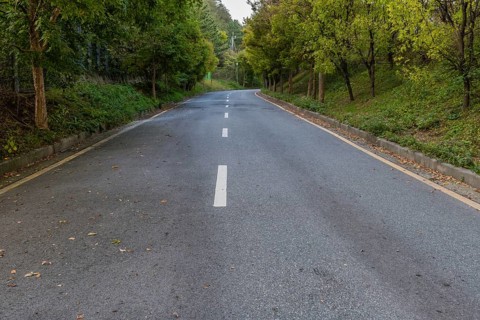 Rural two lane paved road lined with lush foliage in countryside with CCTV cameras in distance in