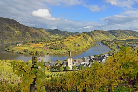 View over the wine village of Bremm am Calmont with St Laurentius Church and the Stuben monastery