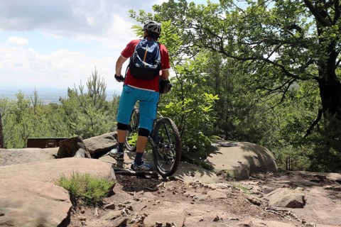 Mountain biker enjoys the view of the Rhine plain above Neustadt an der Weinstrasse