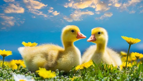 AI generated, animal, animals, bird, birds, biotope, habitat, one, individual, foraging, wildlife,