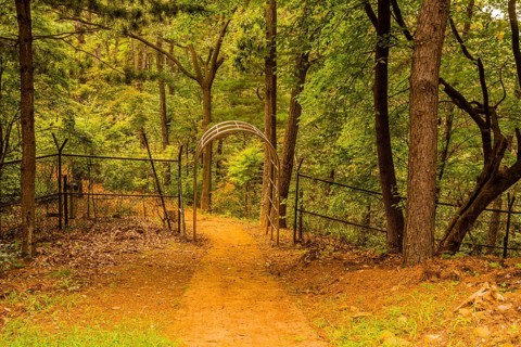 Path to chrome gate in wire fence at edge of wooded public park in South Korea