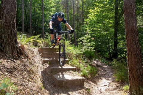Mountain biker in the Palatinate Forest rides a difficult single trail with several steps