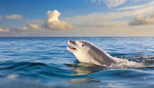 KI generated, animal, animals, mammal, mammals, biotope, habitat, one, individual, foraging,