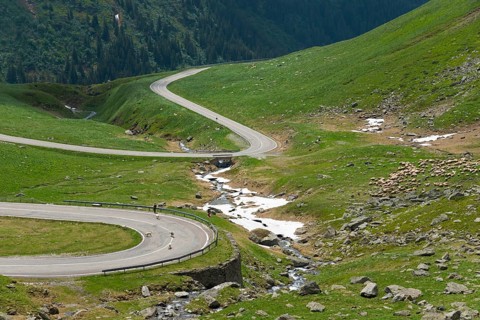A winding mountain road meanders along a river with a flock of sheep through green hills, Capra