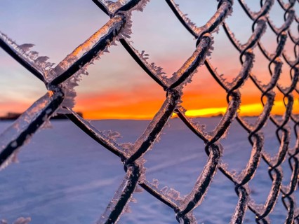 Black ice and hoarfrost on wire mesh fence at sunset, Close Up, Ellern, Rhineland-Palatinate,
