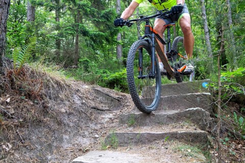 Mountain biker riding steps on a single trail near Weinbiet in the Palatinate Forest, Germany,