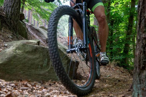Mountain bikers on a descent in the Palatinate Forest near Weinbiet in the Palatinate Forest,