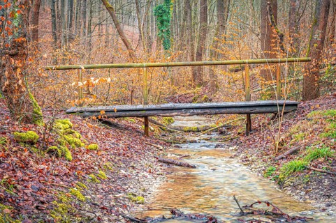Small old wooden bridge over a stream in the Rautal valley in the forest, Jena, Thuringia, Germany,