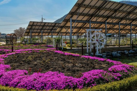 White wooden waterwheel under solar panel at public park with purple flowers in foreground