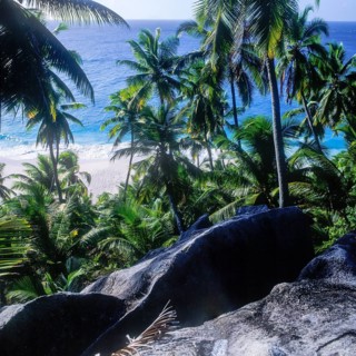 Seychelles, Fregate, clear blue water palm trees and white sandy beach Anse Victorin, Africa