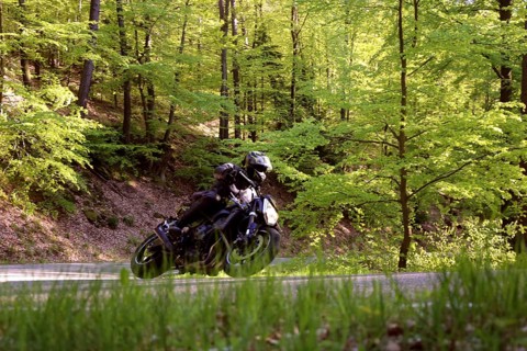 Sporty motorcyclist on a trip into the countryside (Edenkoben Valley, Palatinate Forest)