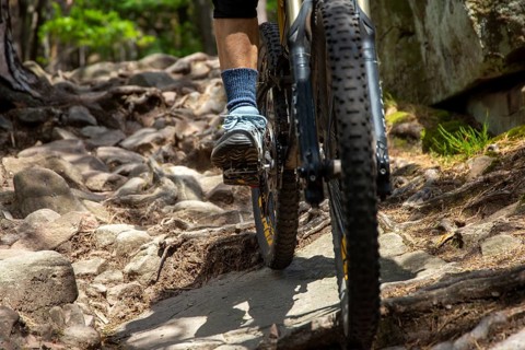 Mountain biker in the Palatinate Forest riding an extremely rough trail in the S3 area of the