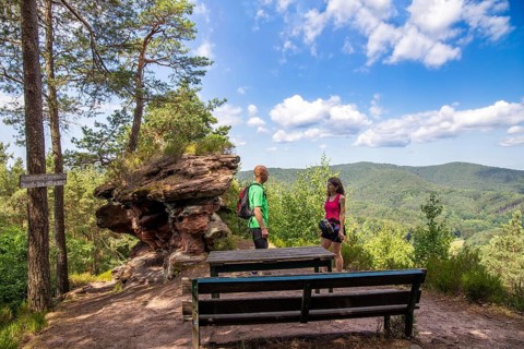 Hikers at the Haeusel-Stein viewpoint in the Palatinate Forest