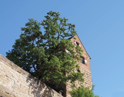 Nuernberger Burg castle in Nuernberg, Germany, Europe