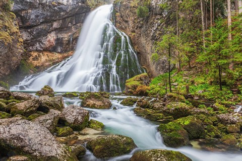 Waterfall and river, forest, gorge, summer, mountain landscape, long exposure, Gollinger waterfall,