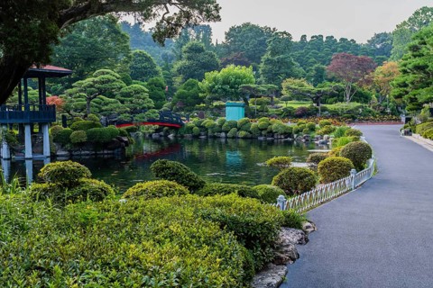 Paved walkway next to koi pond with a footbridge leading to gazebo in manicured public park in