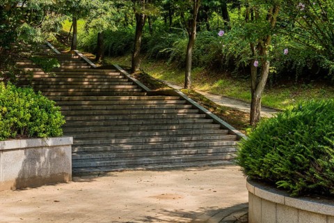 Concrete stairs next to disabled access pathway leading into woodland park on sunny afternoon in