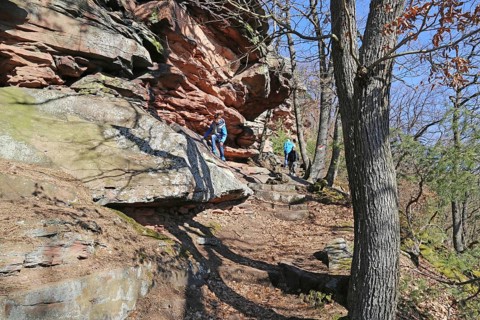 Boy climbing on the rocks above Wolfsburg (Palatinate Forest near Neustadt an der Weinstrasse)