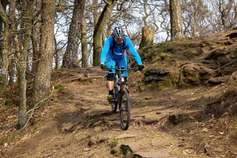 Palatinate Forest: Mountain bikers downhill in the forest