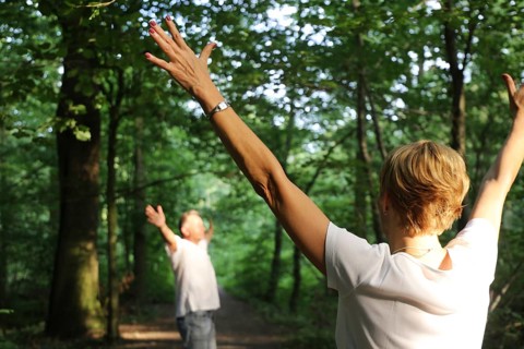 Group forest bathing (Shinrin Yoku), nature therapy from Japan