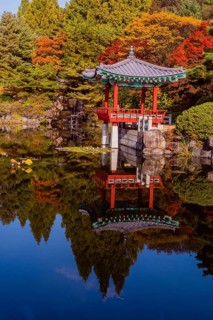 Beautiful oriental gazebo with terracotta tile roof at edge of man made pond with small waterfall