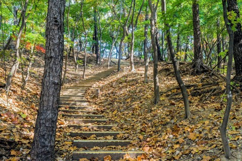Stairs on side of mountain on sunny fall afternoon