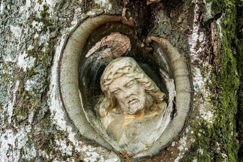 Christ figure in a tree, Balzer Herrgott, near Guetenbach, Black Forest, Baden-Wuerttemberg,