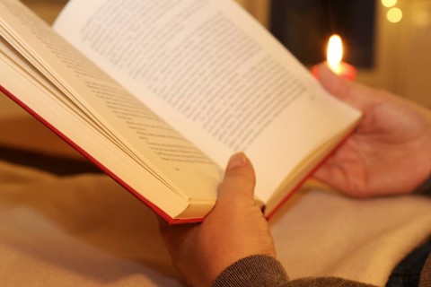 Woman comfortably reading a book on the sofa