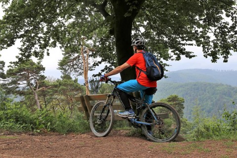 Mountain biker taking a break on a bench in the Palatinate Forest near the Weinbiet above Neustadt