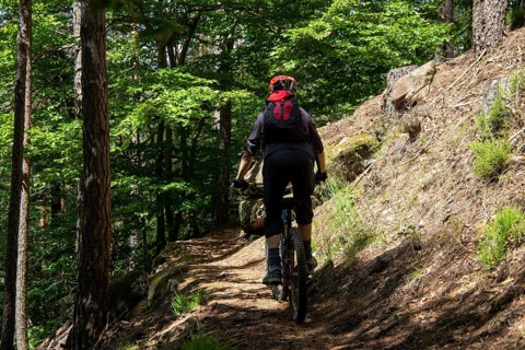 Mountain bikers on tour in the Pfaelzerwald mountain bike park near Dahn