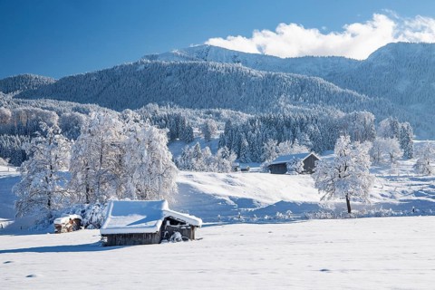 Winter landscape with hay barns in front of the Heimgarten 1791m, Ohlstadt, Loisachtal, The Blue