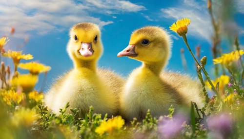 AI generated, animal, animals, bird, birds, biotope, habitat, one, individual, foraging, wildlife,