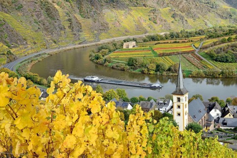View over the wine village of Bremm am Calmont with the St Laurentius church and the ruins of the