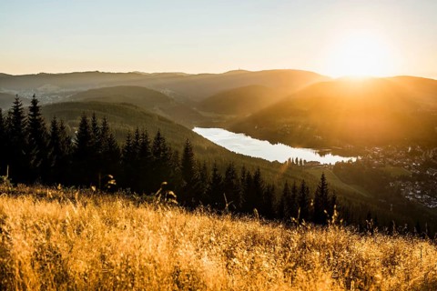 View from Hochfirst to Titisee and Feldberg, sunset, near Neustadt, Black Forest,