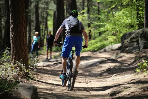 Typical conflict situation in the forest: Mountain bikers encounter hikers (Palatinate Forest near