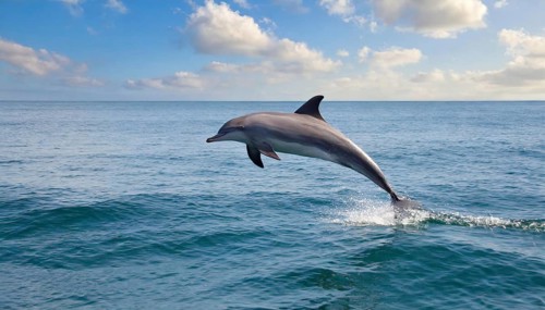 Ai generated, animal, animals, mammal, mammals, biotope, habitat, one, individual, foraging,