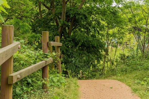 Wooden fence in wilderness park beside straw mat walkway in South Korea