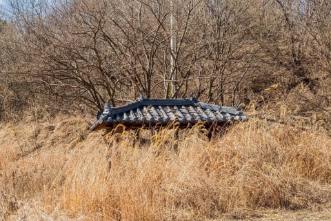 Tiled roof of small picnic pavilion visible above tall winter grass in wilderness park