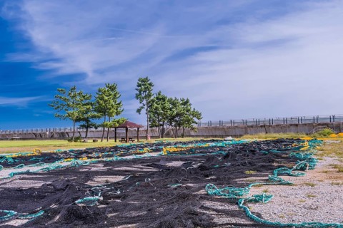 Large fishing nets laid out to dry in gravel lot in front of sea wall and next to public park on